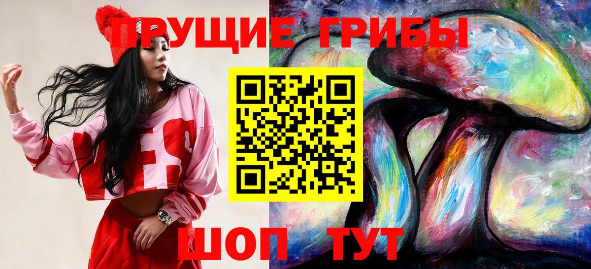 Галлюциногенные грибы мицелий Северск