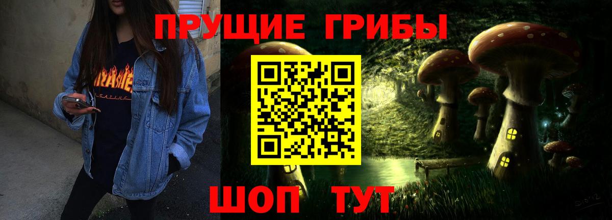 Псилоцибиновые грибы ЛСД  Вход с VPN  купить наркотик  Северск 